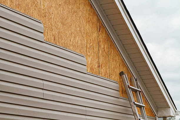 Professional Siding Repair technician working in Maple Grove, MN